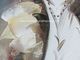 Дама В Бел Одевать Covered картины маслом современного искусства холста с тонким пластиковым слоем
